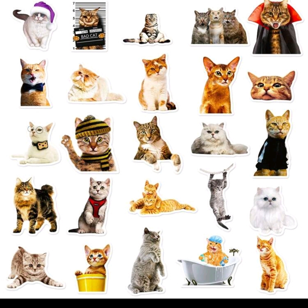 Playful Cat Sticker Collection - Picture 5 of 5